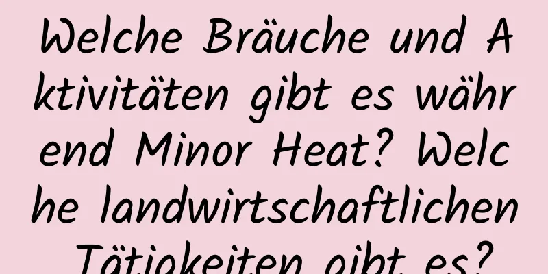 Welche Bräuche und Aktivitäten gibt es während Minor Heat? Welche landwirtschaftlichen Tätigkeiten gibt es?