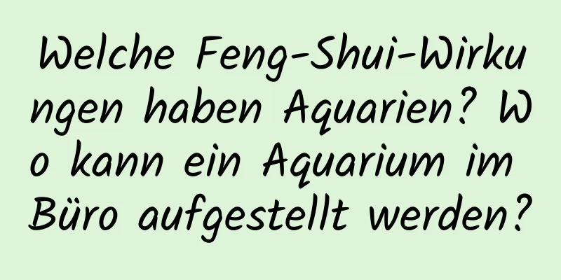 Welche Feng-Shui-Wirkungen haben Aquarien? Wo kann ein Aquarium im Büro aufgestellt werden?