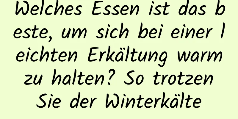 Welches Essen ist das beste, um sich bei einer leichten Erkältung warm zu halten? So trotzen Sie der Winterkälte