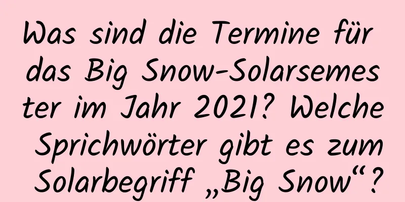 Was sind die Termine für das Big Snow-Solarsemester im Jahr 2021? Welche Sprichwörter gibt es zum Solarbegriff „Big Snow“?