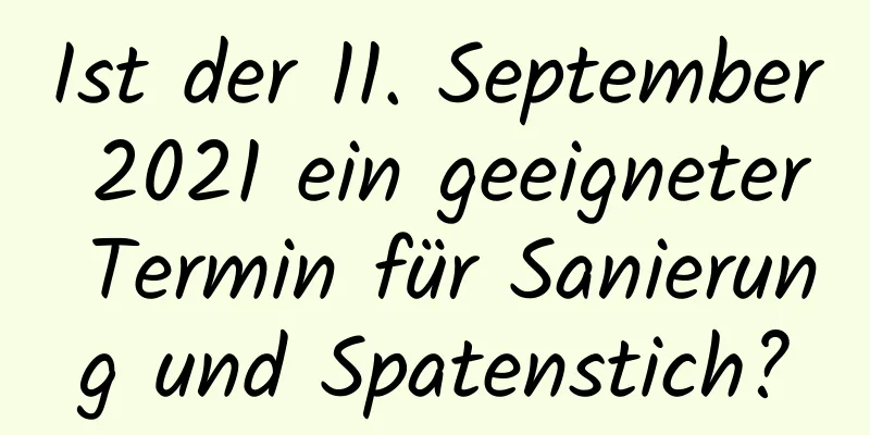 Ist der 11. September 2021 ein geeigneter Termin für Sanierung und Spatenstich?