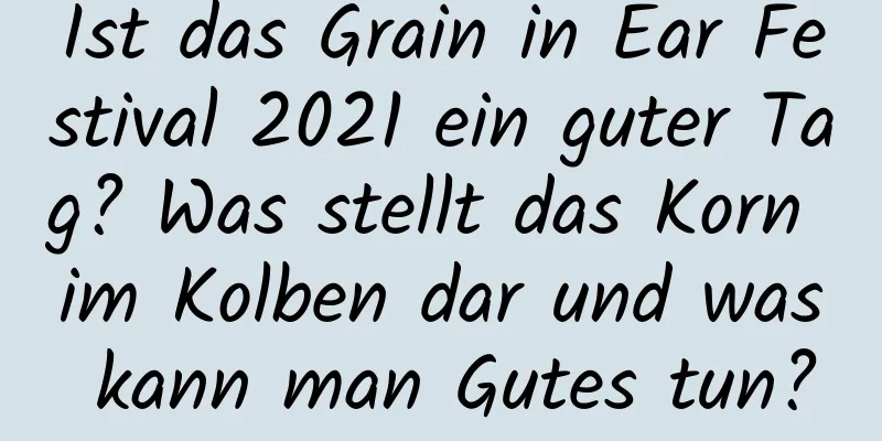 Ist das Grain in Ear Festival 2021 ein guter Tag? Was stellt das Korn im Kolben dar und was kann man Gutes tun?
