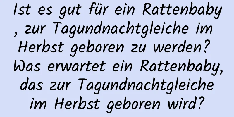 Ist es gut für ein Rattenbaby, zur Tagundnachtgleiche im Herbst geboren zu werden? Was erwartet ein Rattenbaby, das zur Tagundnachtgleiche im Herbst geboren wird?