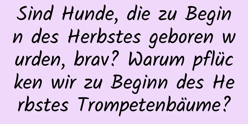 Sind Hunde, die zu Beginn des Herbstes geboren wurden, brav? Warum pflücken wir zu Beginn des Herbstes Trompetenbäume?