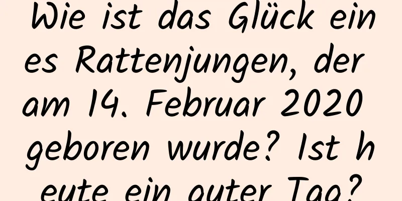 Wie ist das Glück eines Rattenjungen, der am 14. Februar 2020 geboren wurde? Ist heute ein guter Tag?