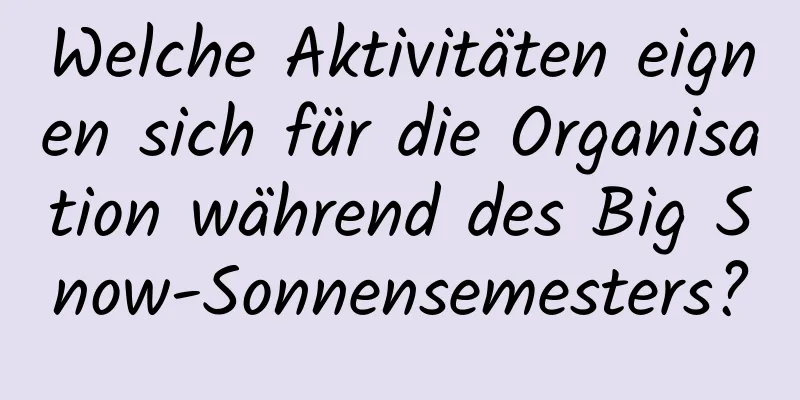 Welche Aktivitäten eignen sich für die Organisation während des Big Snow-Sonnensemesters?