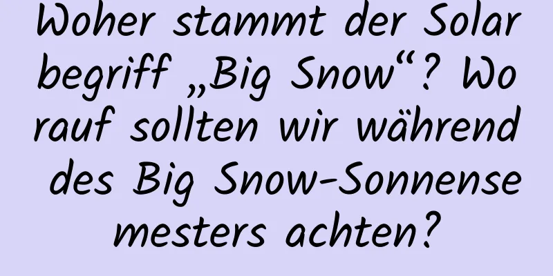 Woher stammt der Solarbegriff „Big Snow“? Worauf sollten wir während des Big Snow-Sonnensemesters achten?