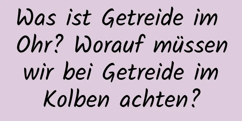 Was ist Getreide im Ohr? Worauf müssen wir bei Getreide im Kolben achten?