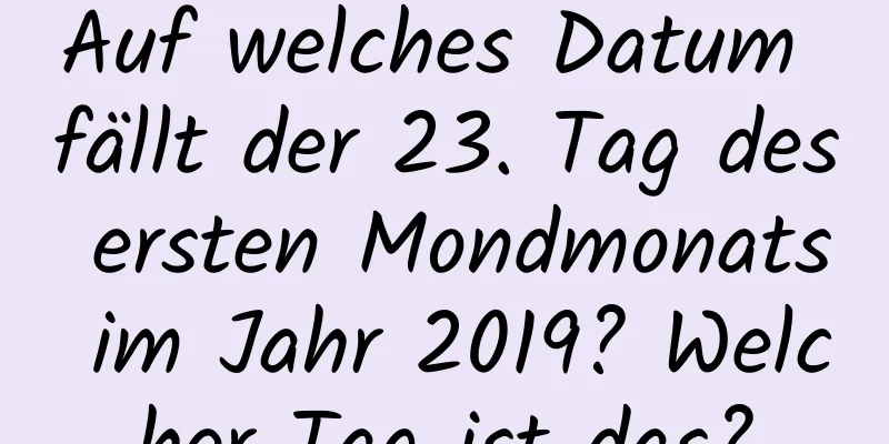 Auf welches Datum fällt der 23. Tag des ersten Mondmonats im Jahr 2019? Welcher Tag ist das?
