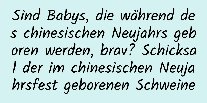 Sind Babys, die während des chinesischen Neujahrs geboren werden, brav? Schicksal der im chinesischen Neujahrsfest geborenen Schweine