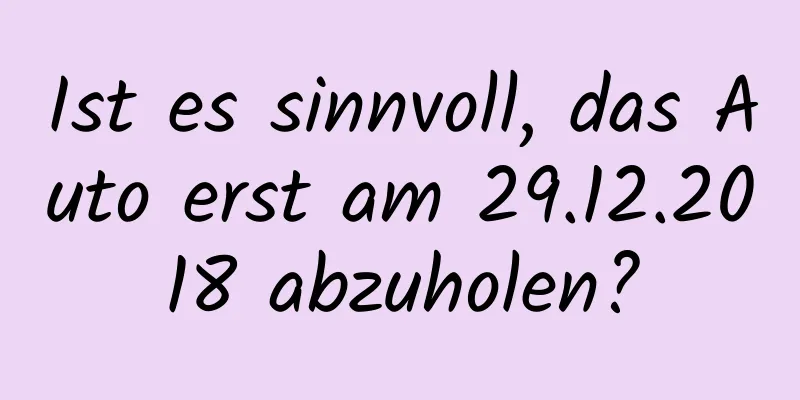 Ist es sinnvoll, das Auto erst am 29.12.2018 abzuholen?