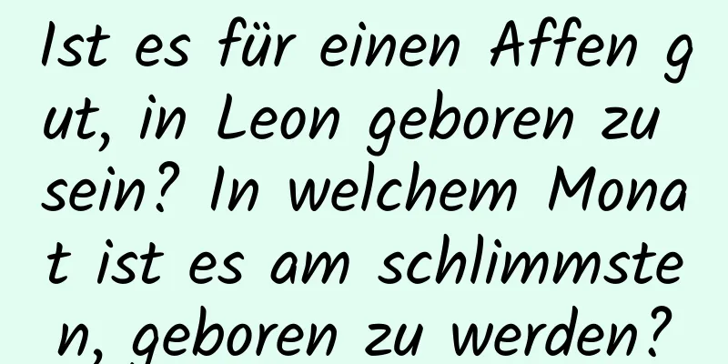 Ist es für einen Affen gut, in Leon geboren zu sein? In welchem ​​Monat ist es am schlimmsten, geboren zu werden?