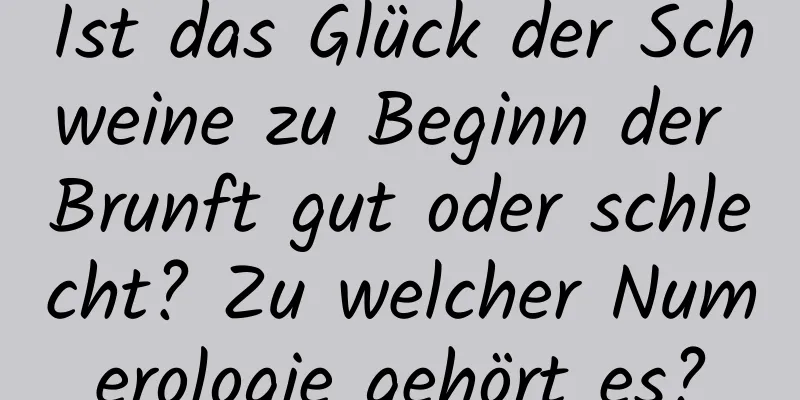 Ist das Glück der Schweine zu Beginn der Brunft gut oder schlecht? Zu welcher Numerologie gehört es?