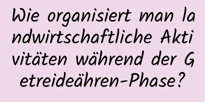 Wie organisiert man landwirtschaftliche Aktivitäten während der Getreideähren-Phase?