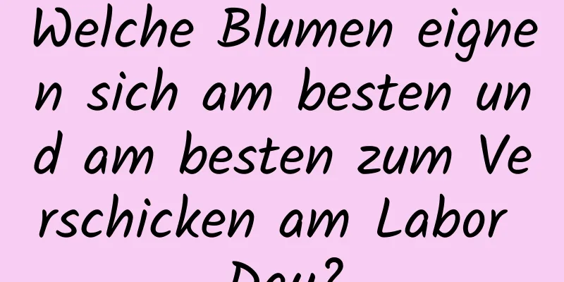 Welche Blumen eignen sich am besten und am besten zum Verschicken am Labor Day?