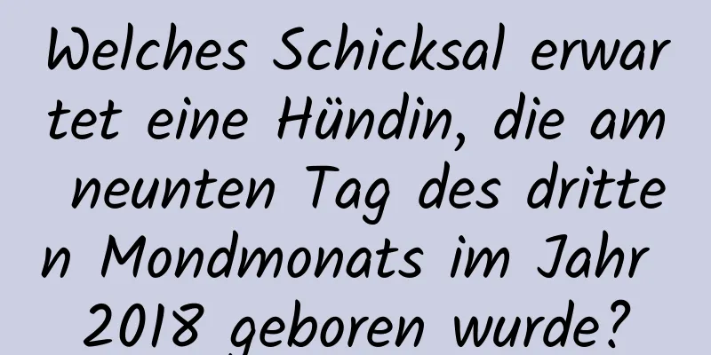 Welches Schicksal erwartet eine Hündin, die am neunten Tag des dritten Mondmonats im Jahr 2018 geboren wurde?
