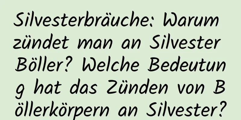 Silvesterbräuche: Warum zündet man an Silvester Böller? Welche Bedeutung hat das Zünden von Böllerkörpern an Silvester?
