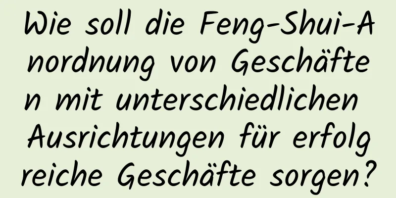Wie soll die Feng-Shui-Anordnung von Geschäften mit unterschiedlichen Ausrichtungen für erfolgreiche Geschäfte sorgen?