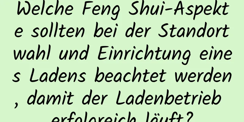 Welche Feng Shui-Aspekte sollten bei der Standortwahl und Einrichtung eines Ladens beachtet werden, damit der Ladenbetrieb erfolgreich läuft?
