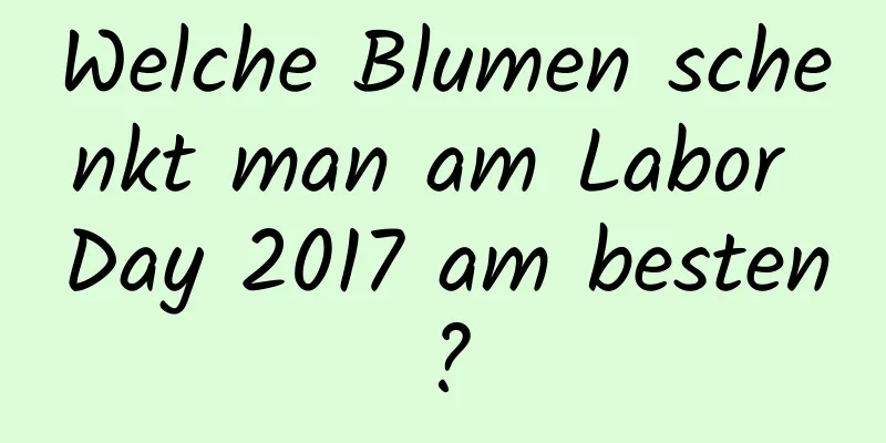 Welche Blumen schenkt man am Labor Day 2017 am besten?