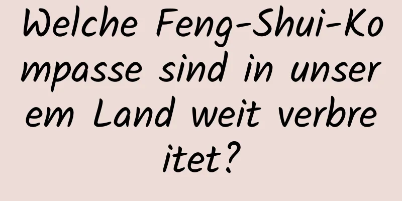 Welche Feng-Shui-Kompasse sind in unserem Land weit verbreitet?