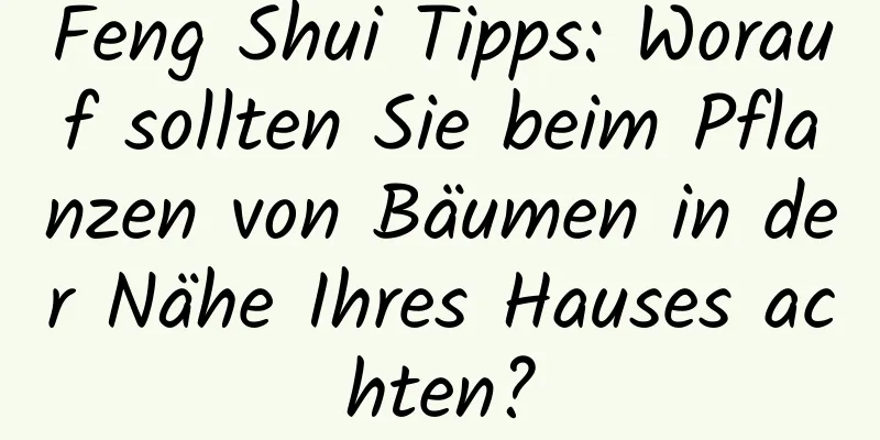 Feng Shui Tipps: Worauf sollten Sie beim Pflanzen von Bäumen in der Nähe Ihres Hauses achten?