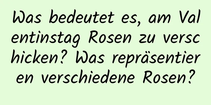 Was bedeutet es, am Valentinstag Rosen zu verschicken? Was repräsentieren verschiedene Rosen?