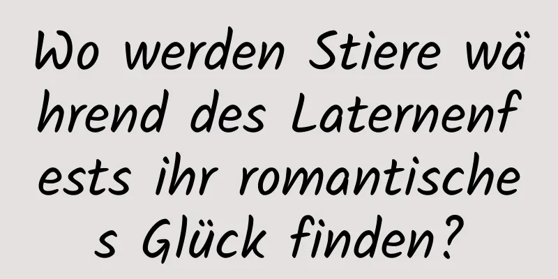 Wo werden Stiere während des Laternenfests ihr romantisches Glück finden?