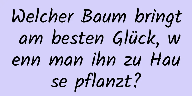 Welcher Baum bringt am besten Glück, wenn man ihn zu Hause pflanzt?