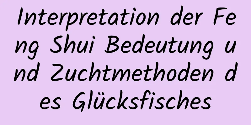 Interpretation der Feng Shui Bedeutung und Zuchtmethoden des Glücksfisches