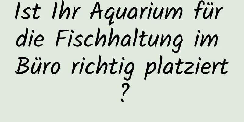 Ist Ihr Aquarium für die Fischhaltung im Büro richtig platziert?