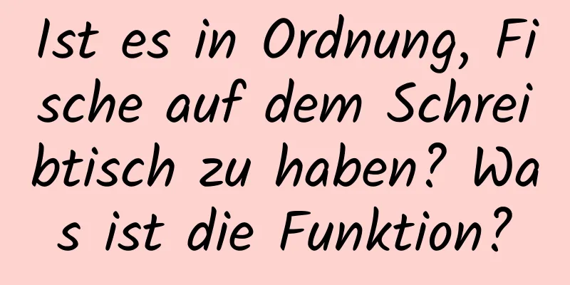 Ist es in Ordnung, Fische auf dem Schreibtisch zu haben? Was ist die Funktion?