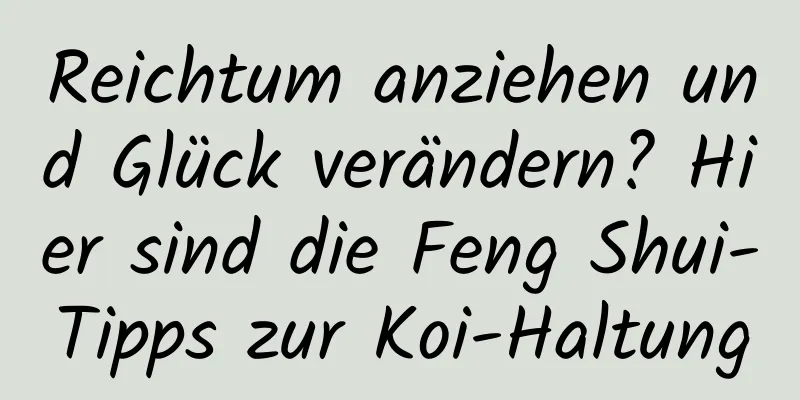 Reichtum anziehen und Glück verändern? Hier sind die Feng Shui-Tipps zur Koi-Haltung
