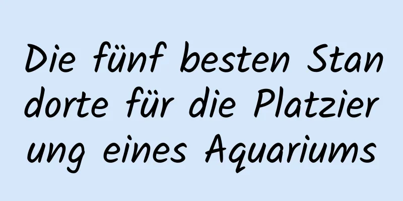 Die fünf besten Standorte für die Platzierung eines Aquariums