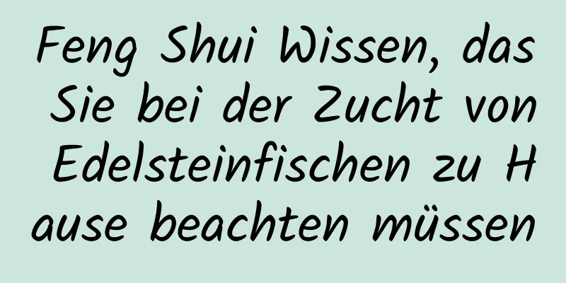 Feng Shui Wissen, das Sie bei der Zucht von Edelsteinfischen zu Hause beachten müssen